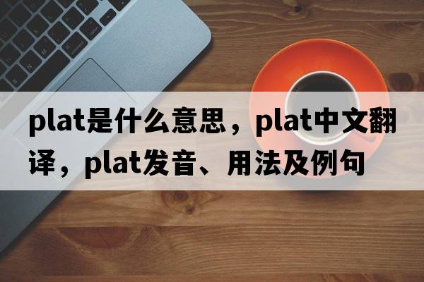 plat是什么意思，plat中文翻譯，plat發(fā)音、用法及例句