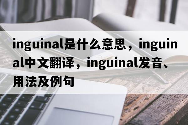 inguinal是什么意思，inguinal中文翻譯，inguinal發(fā)音、用法及例句