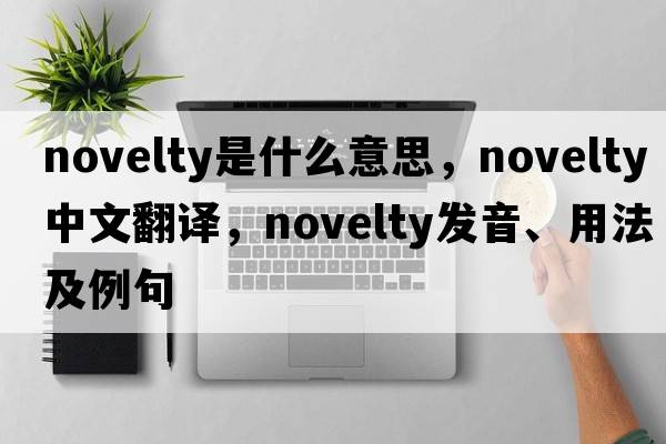 novelty是什么意思，novelty中文翻譯，novelty發(fā)音、用法及例句