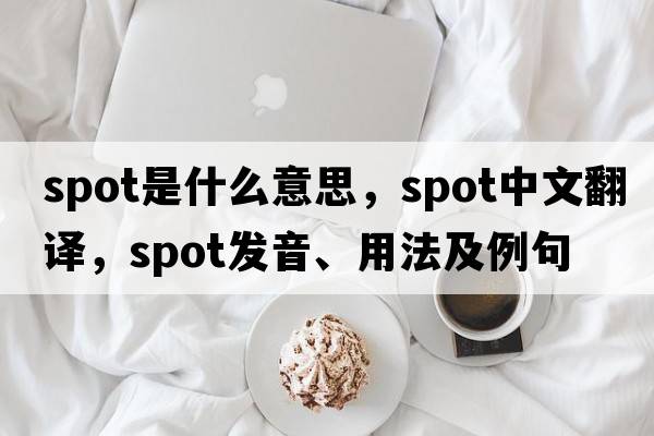 spot是什么意思，spot中文翻譯，spot發(fā)音、用法及例句