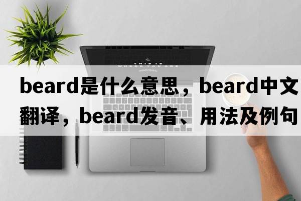 beard是什么意思，beard中文翻譯，beard發(fā)音、用法及例句