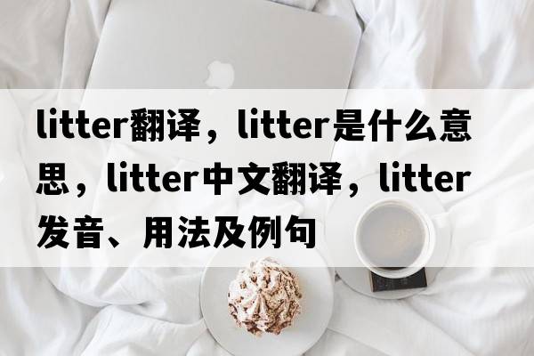 litter翻譯，litter是什么意思，litter中文翻譯，litter發(fā)音、用法及例句
