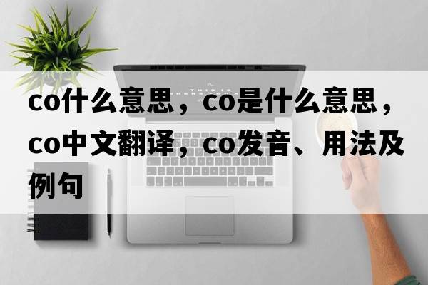 co什么意思，Co是什么意思，Co中文翻譯，Co發(fā)音、用法及例句