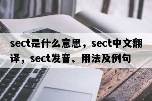 sect是什么意思，sect中文翻譯，sect發(fā)音、用法及例句