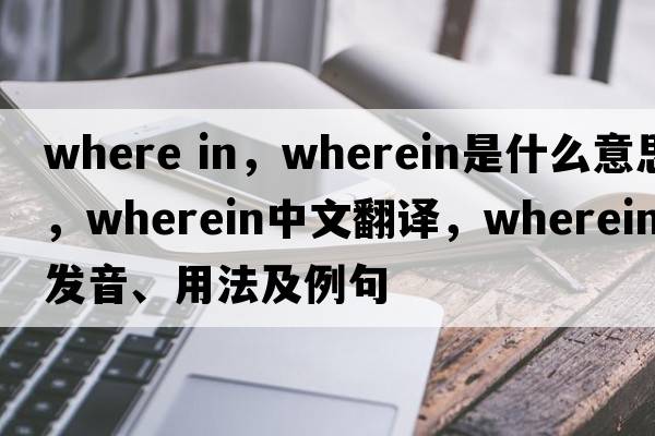 where in，wherein是什么意思，wherein中文翻譯，wherein發(fā)音、用法及例句
