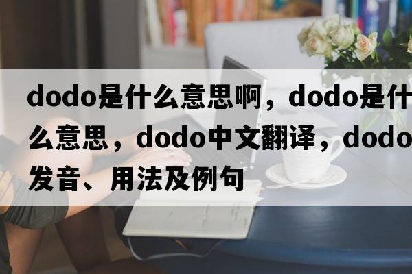 dodo是什么意思啊，dodo是什么意思，dodo中文翻譯，dodo發(fā)音、用法及例句