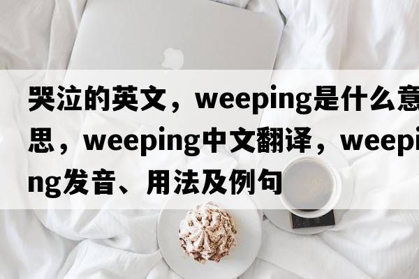 哭泣的英文，weeping是什么意思，weeping中文翻譯，weeping發(fā)音、用法及例句