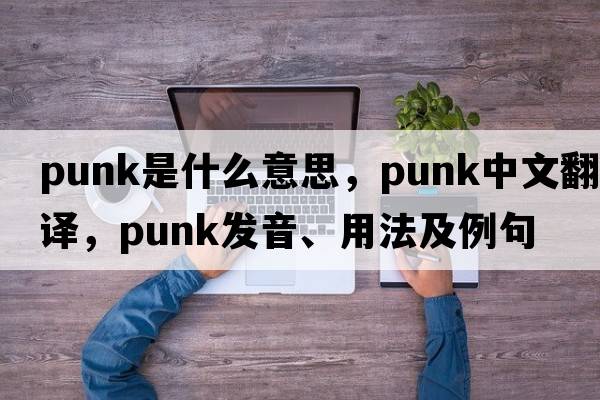 punk是什么意思，punk中文翻譯，punk發(fā)音、用法及例句