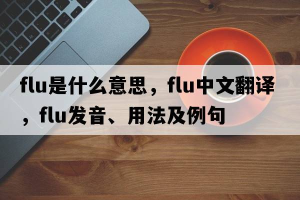 flu是什么意思，flu中文翻譯，flu發(fā)音、用法及例句