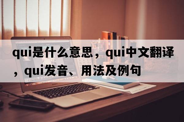 qui是什么意思，qui中文翻譯，qui發(fā)音、用法及例句