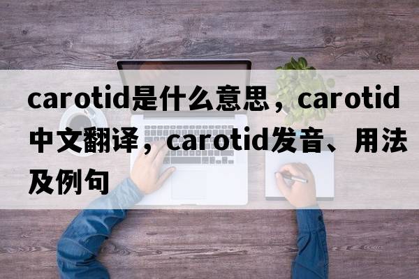 carotid是什么意思，carotid中文翻譯，carotid發(fā)音、用法及例句