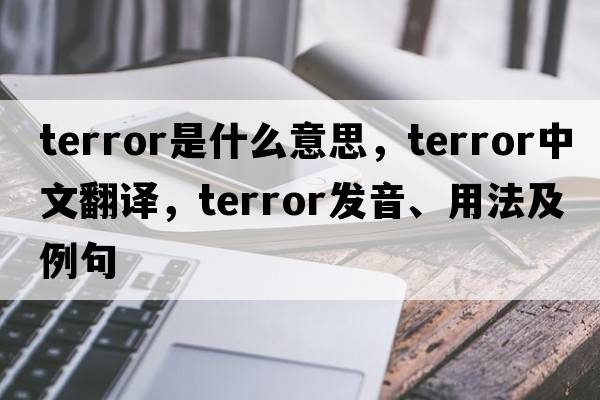 terror是什么意思，terror中文翻譯，terror發(fā)音、用法及例句