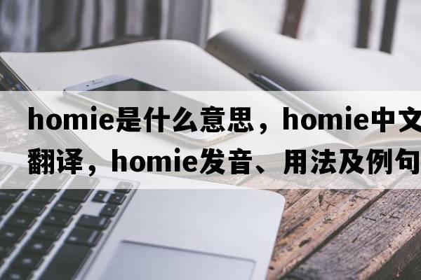 homie是什么意思，homie中文翻譯，homie發(fā)音、用法及例句
