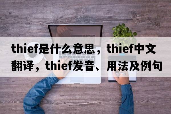 thief是什么意思，thief中文翻譯，thief發(fā)音、用法及例句