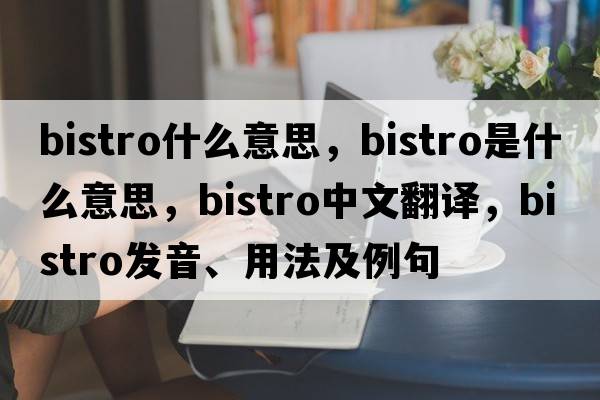 bistro什么意思，bistro是什么意思，bistro中文翻譯，bistro發(fā)音、用法及例句