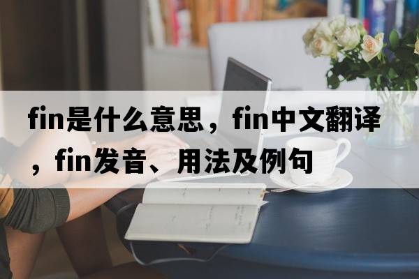 fin是什么意思，fin中文翻譯，fin發(fā)音、用法及例句