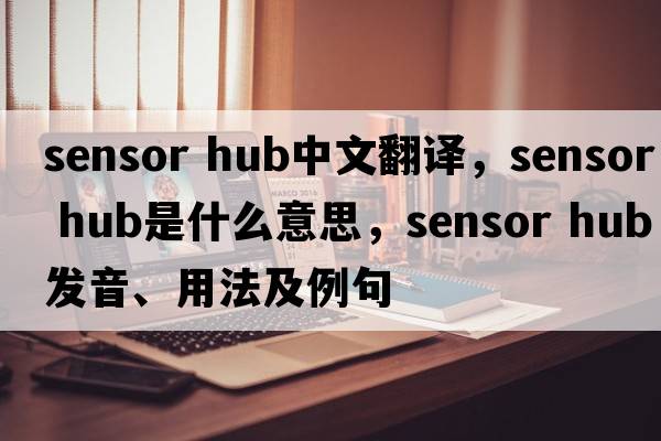 sensor hub中文翻譯，sensor hub是什么意思，sensor hub發(fā)音、用法及例句