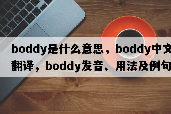 Boddy是什么意思，Boddy中文翻譯，Boddy發(fā)音、用法及例句