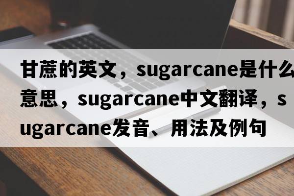甘蔗的英文，sugarcane是什么意思，sugarcane中文翻譯，sugarcane發(fā)音、用法及例句