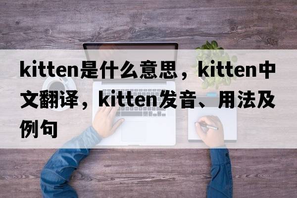 kitten是什么意思，kitten中文翻譯，kitten發(fā)音、用法及例句
