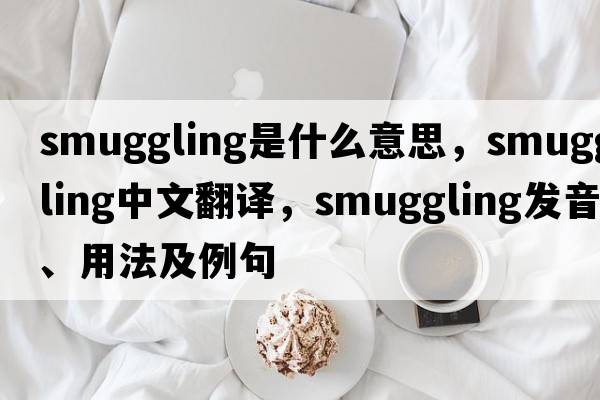 smuggling是什么意思，smuggling中文翻譯，smuggling發(fā)音、用法及例句