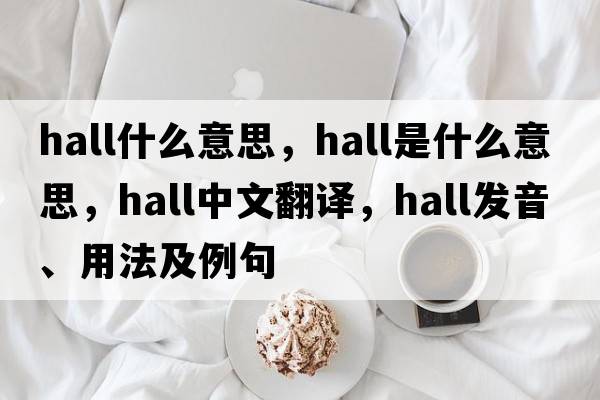 hall什么意思，hall是什么意思，hall中文翻譯，hall發(fā)音、用法及例句