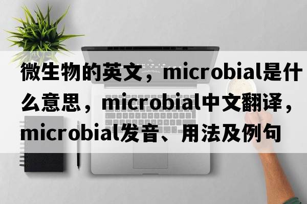 微生物的英文，microbial是什么意思，microbial中文翻譯，microbial發(fā)音、用法及例句
