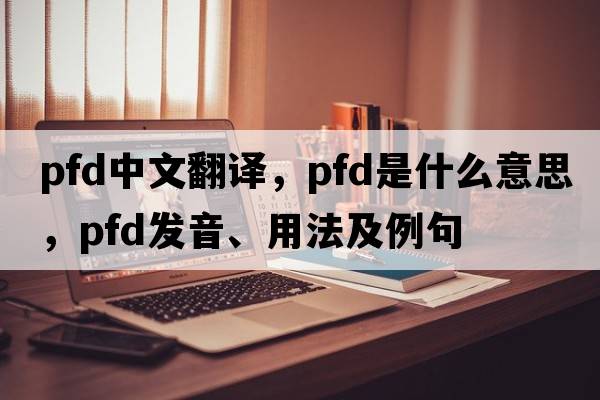 pfd中文翻譯，pfd是什么意思，pfd發(fā)音、用法及例句