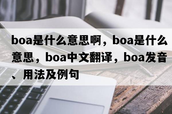 boa是什么意思啊，boa是什么意思，boa中文翻譯，boa發(fā)音、用法及例句
