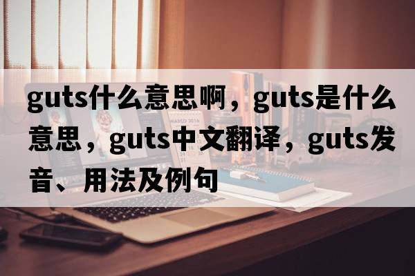 guts什么意思啊，guts是什么意思，guts中文翻譯，guts發(fā)音、用法及例句