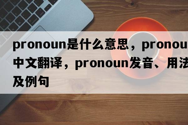 pronoun是什么意思，pronoun中文翻譯，pronoun發(fā)音、用法及例句