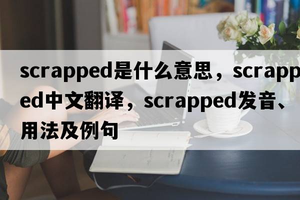 scrapped是什么意思，scrapped中文翻譯，scrapped發(fā)音、用法及例句