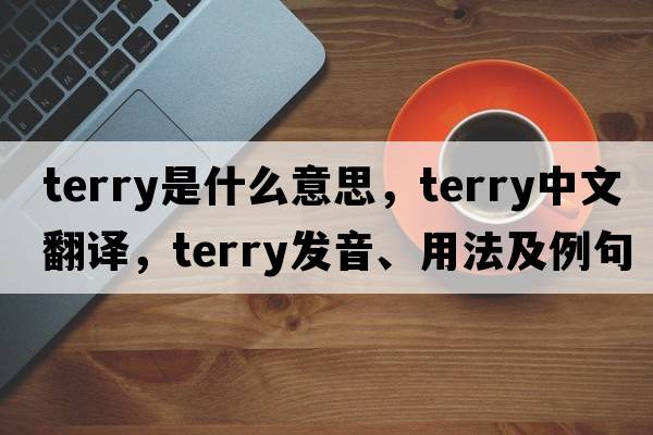 terry是什么意思，terry中文翻譯，terry發(fā)音、用法及例句