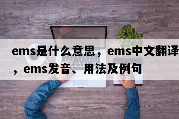 EMS是什么意思，EMS中文翻譯，EMS發(fā)音、用法及例句