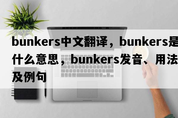 bunkers中文翻譯，bunkers是什么意思，bunkers發(fā)音、用法及例句