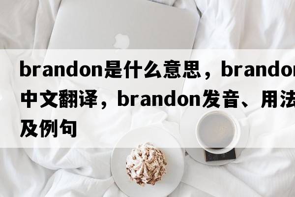 brandon是什么意思，brandon中文翻譯，brandon發(fā)音、用法及例句