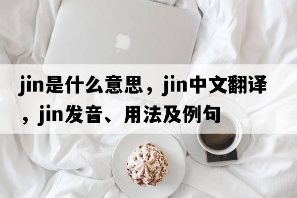 jin是什么意思，jin中文翻譯，jin發(fā)音、用法及例句