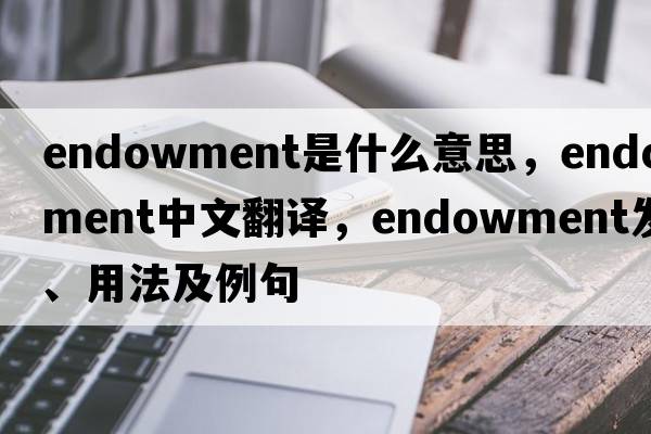 endowment是什么意思，endowment中文翻譯，endowment發(fā)音、用法及例句