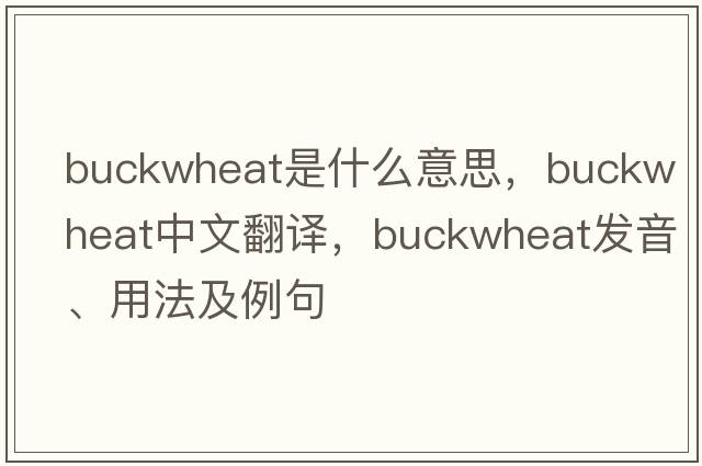 buckwheat是什么意思，buckwheat中文翻譯，buckwheat發(fā)音、用法及例句