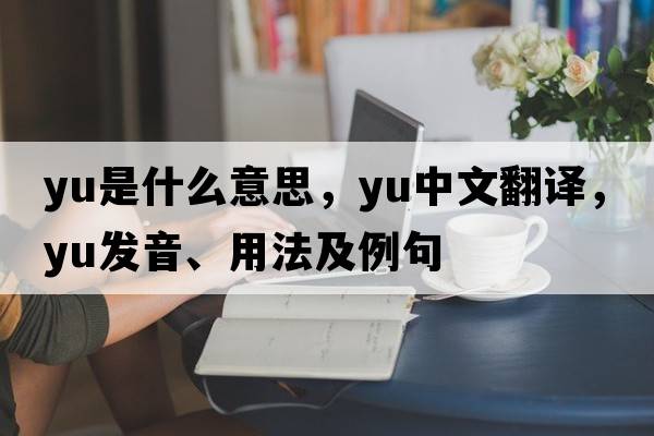 yu是什么意思，yu中文翻譯，yu發(fā)音、用法及例句