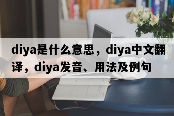 diya是什么意思，diya中文翻譯，diya發(fā)音、用法及例句
