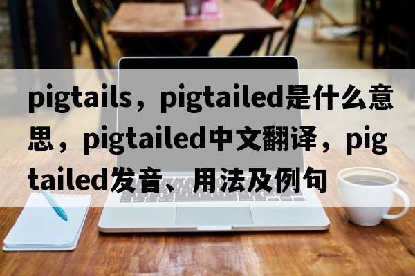pigtails，pigtailed是什么意思，pigtailed中文翻譯，pigtailed發(fā)音、用法及例句
