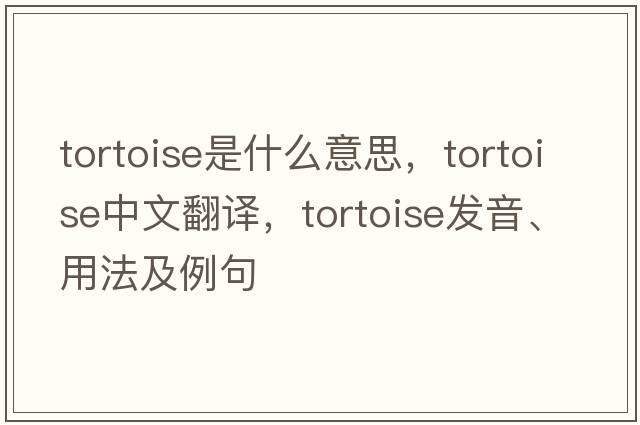 tortoise是什么意思，tortoise中文翻譯，tortoise發(fā)音、用法及例句