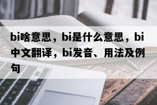bi啥意思，BI是什么意思，BI中文翻譯，BI發(fā)音、用法及例句