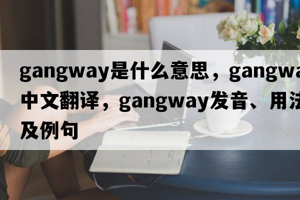 gangway是什么意思，gangway中文翻譯，gangway發(fā)音、用法及例句