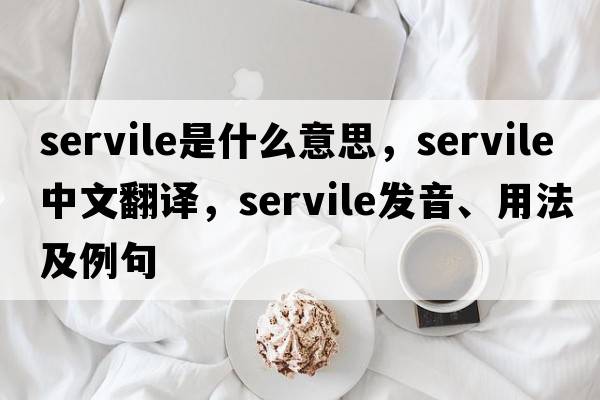 servile是什么意思，servile中文翻譯，servile發(fā)音、用法及例句