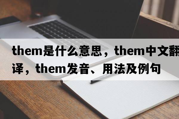 them是什么意思，them中文翻譯，them發(fā)音、用法及例句