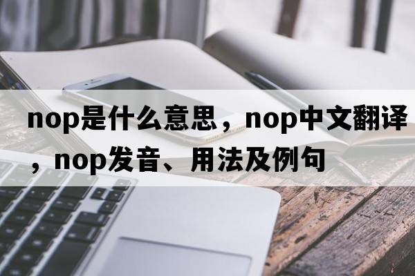nop是什么意思，nop中文翻譯，nop發(fā)音、用法及例句