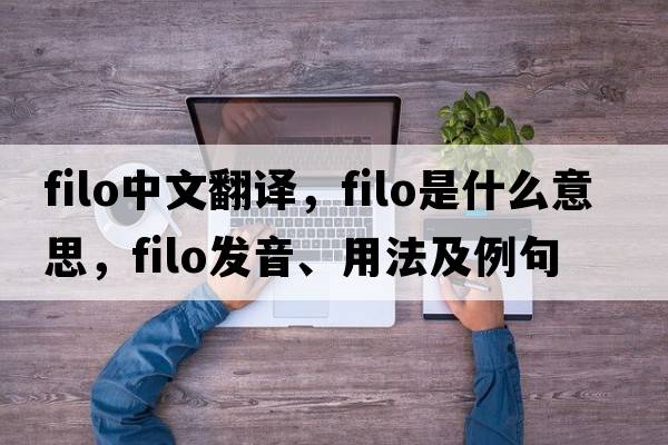 filo中文翻譯，filo是什么意思，filo發(fā)音、用法及例句