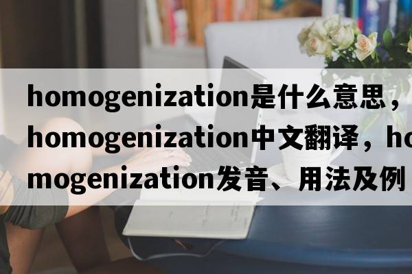 homogenization是什么意思，homogenization中文翻譯，homogenization發(fā)音、用法及例句